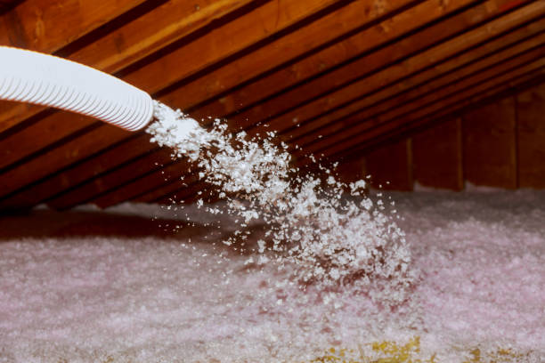 Best DIY Insulation Kits and Guidance in Prceton, IN