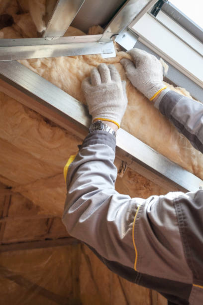 Best Commercial Insulation in Prceton, IN